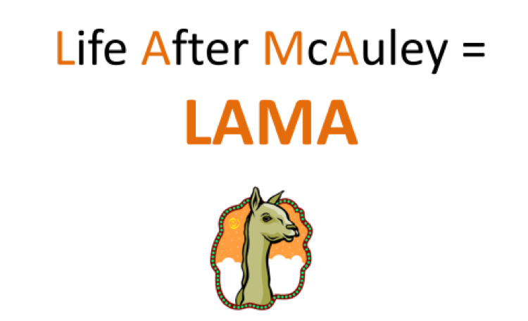 LAMA 2019